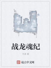 戰龍魂紀