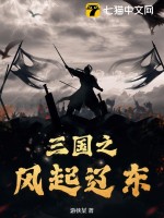 三國之風起遼東