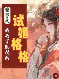 清穿之我成了胤禛的試婚格格