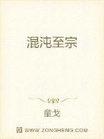 混沌至宗