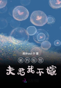 婚約驚情：夫君我不嫁