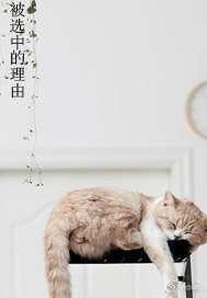 被選中的理由