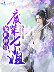 絕世神偷：廢柴七小姐