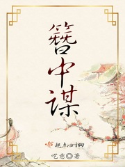 簪中謀