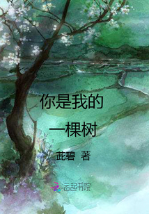 你是我的一棵樹