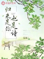 歸來是你也是詩