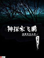 神探宋飛鵬
